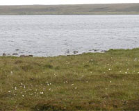 Loch Atrabhat Iarach