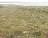 Loch Atrabhat Uarach