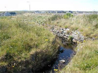 Allt Thailleagr&ograve;